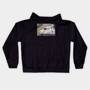 Weathered Driftwood Kids Hoodie